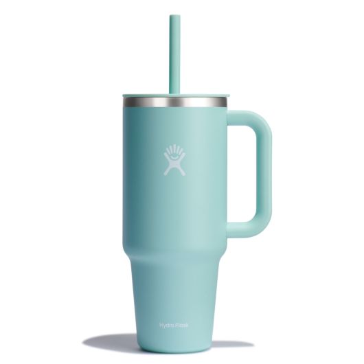 Hydro Flask 20 oz All Around Tumbler - Dew