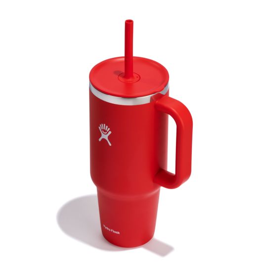 Hydro Flask 24 oz Mug Goji