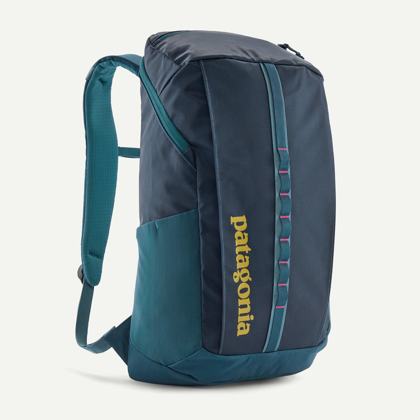 Patagonia Black Hole Pack