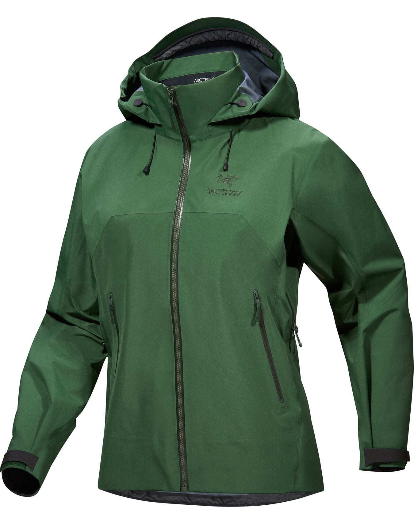 Arc'teryx Women's Beta AR Jacket