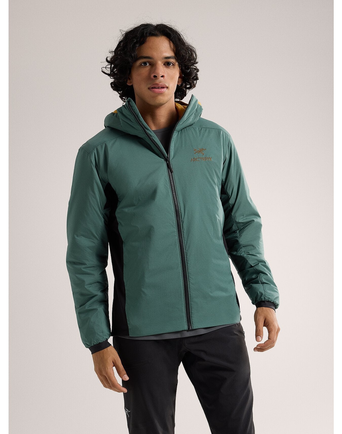 Arc'teryx Men's Atom Hoody