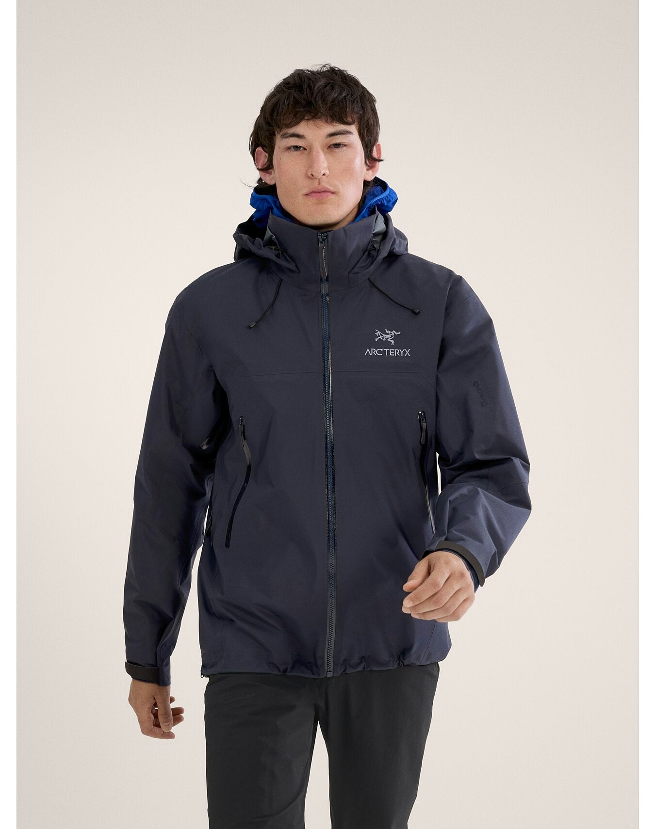 Arc'teryx Men's Beta AR Jacket